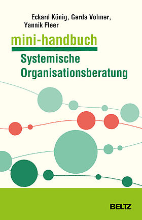 Mini-Handbuch Systemische Organisationsberatung
