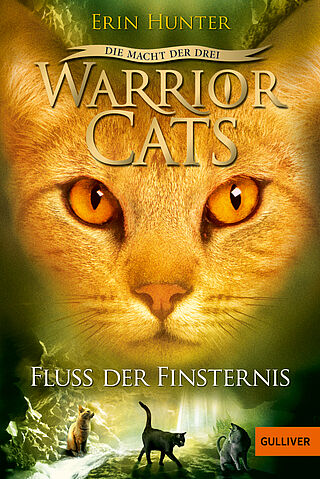 Warrior Cats - Die Macht der drei. Fluss der Finsternis