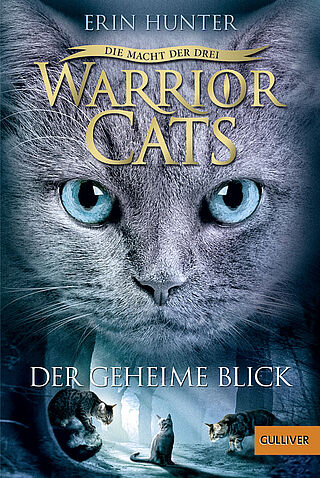 Warrior Cats - Die Macht der drei. Der geheime Blick