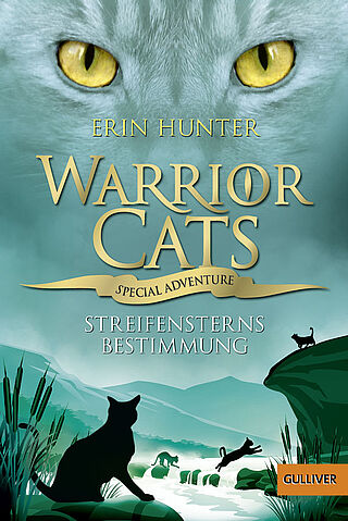 Warrior Cats - Special Adventure 4. Streifensterns Bestimmung