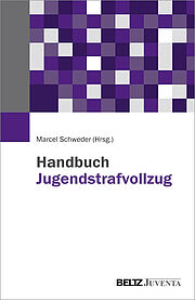 Handbuch Jugendstrafvollzug