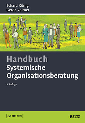 Handbuch Systemische Organisationsberatung