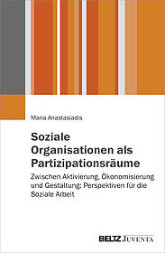 Soziale Organisationen als Partizipationsräume