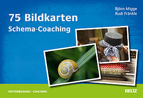 75 Bildkarten Schema-Coaching