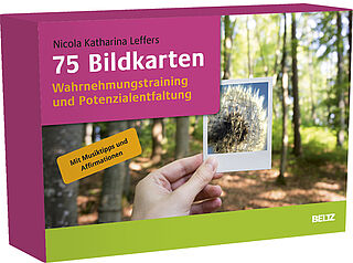 75 Picture Cards for Training Visual Perception and Developing Potential