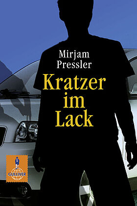 Kratzer im Lack