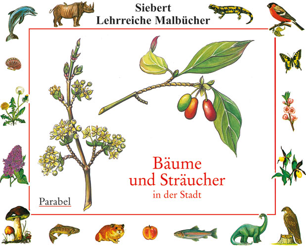 Rallye Malbücher