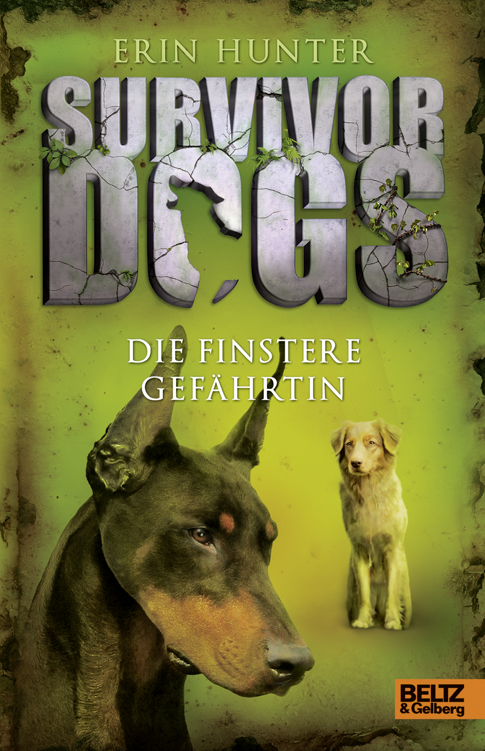 survivors dogs survivor dogs die finstere gef 228 hrtin band 4 erin beltz survivors dogs survivor dogs die finstere gef 228 hrtin band 4 erin beltz