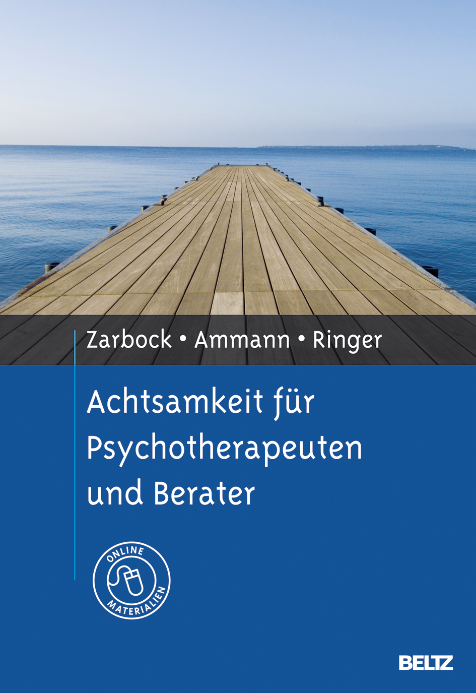 Achtsamkeit für Psychotherapeuten und Berater