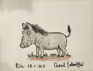 Scheffler3