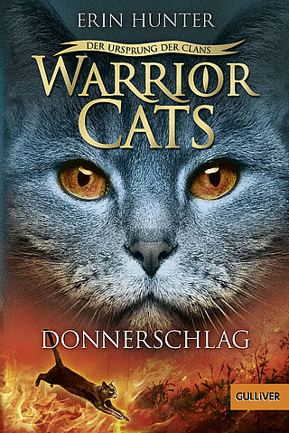 Warrior Cats - Der Ursprung der Clans. Donnerschlag