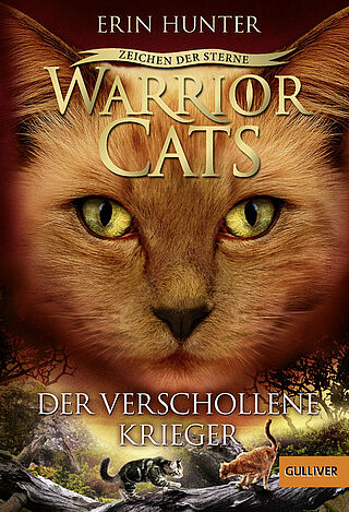 Warrior Cats - Zeichen der Sterne, Der verschollene Krieger