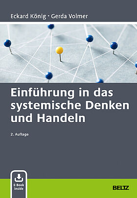 Einführung in das systemische Denken und Handeln