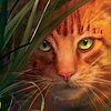 Warrior Cats-Gewinnspiel »Wo ist Sammy?« jetzt online