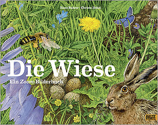 Die Wiese