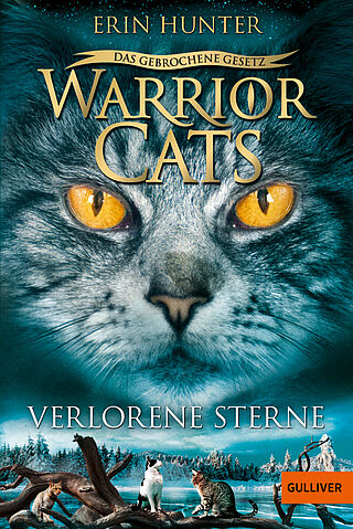 Warrior Cats - Das gebrochene Gesetz. Verlorene Sterne