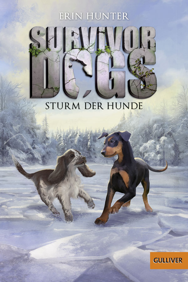 ebook