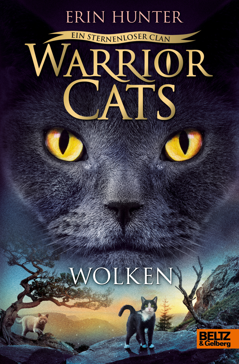 Warrior cats staffel 2  Warrior cats, Warrior cats books, Warrior cat