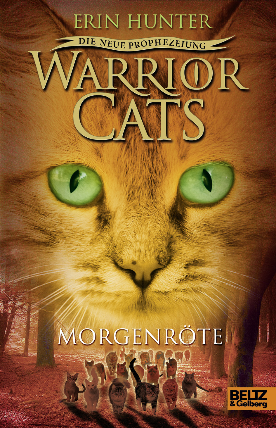Buch Warrior Cats Buch Warrior Cats