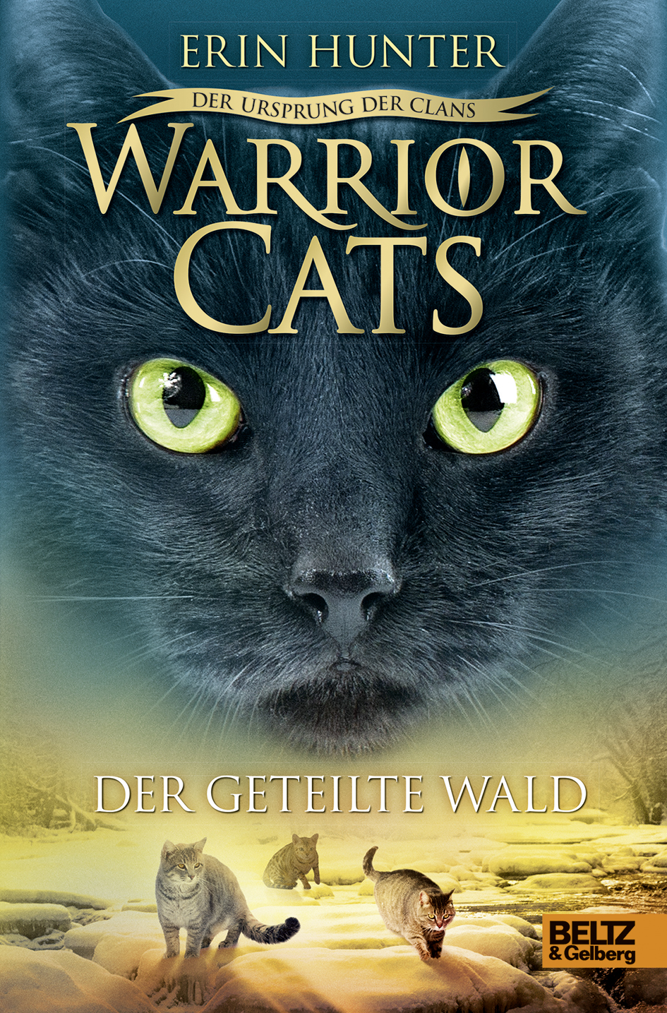 Warrior Cats Das Gebrochene Gesetz Verlorene Sterne Staffel Vii Band 1 Gebrochene Gesetz Das Warrior In 2020 Warrior Cats Warrior Cats Books Warrior Cat